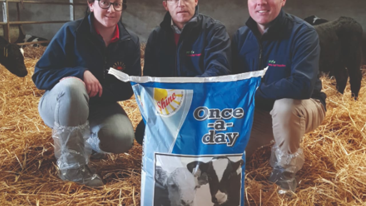 Bonanza’s on-farm support fuels success of automatic feeder for Tipperary farmer