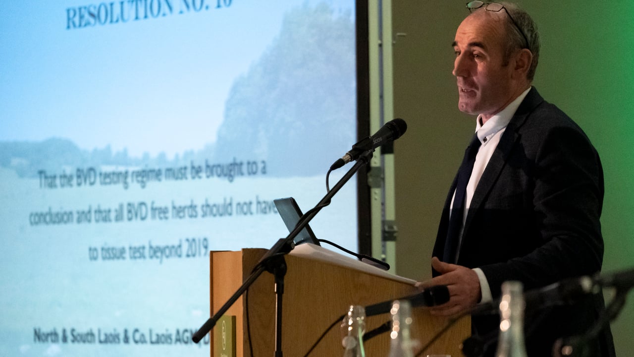 ICMSA deputy president Lorcan McCabe. Image source: Don Moloney