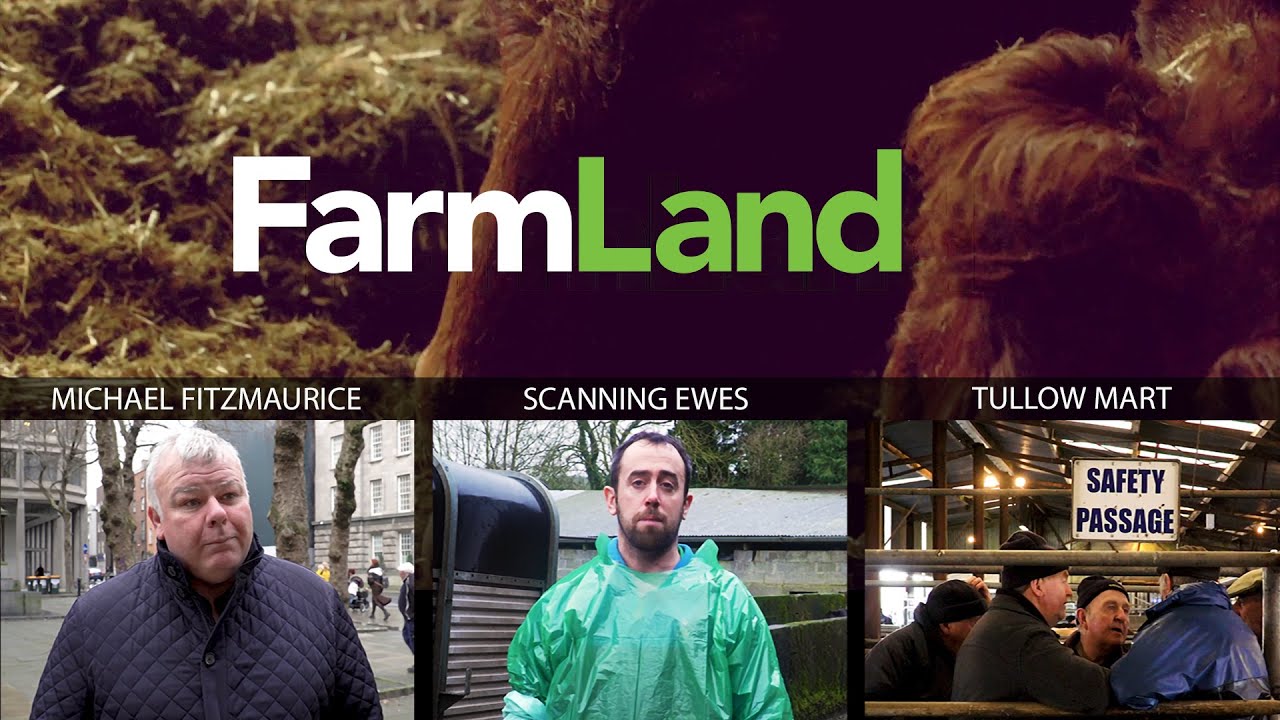 FARMLAND: 23rd January 2020