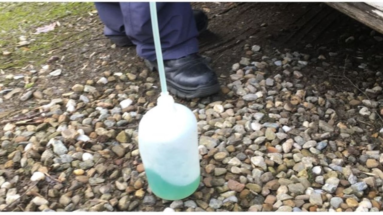 HMRC officers taking a sample from one of the vehicles 'going on green'. Image source: PSNI Armagh