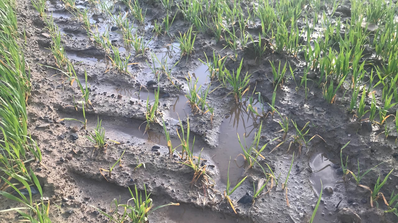 Flooded fields won't be worked for some time