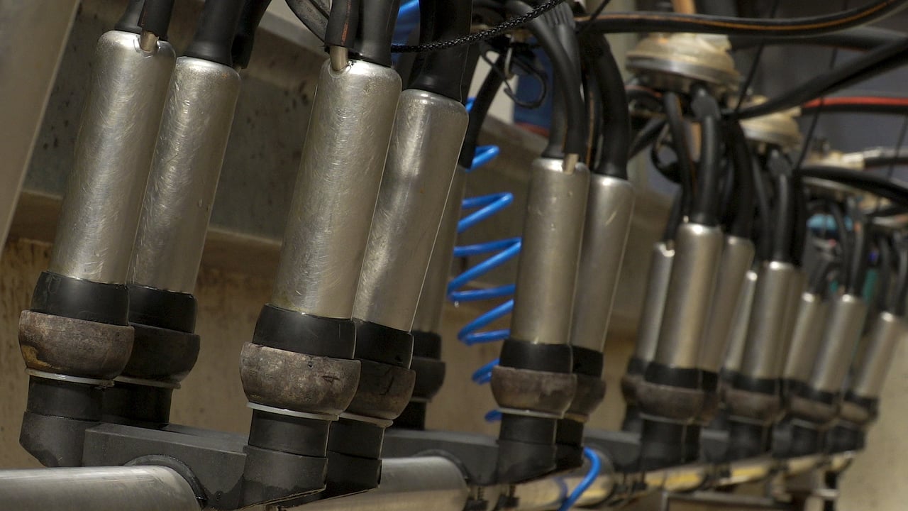 Macra hits out at omission of milking parlour building costs in TAMS