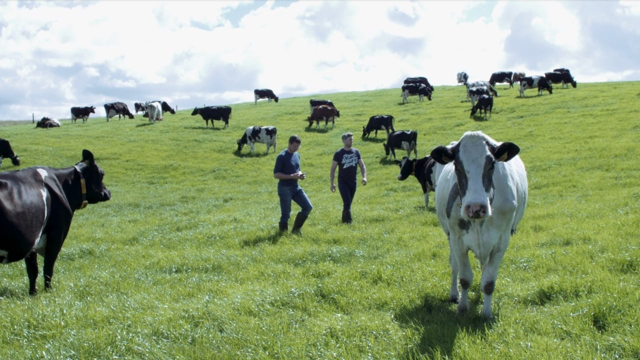 How to get more cows in calf while saving on time and labour