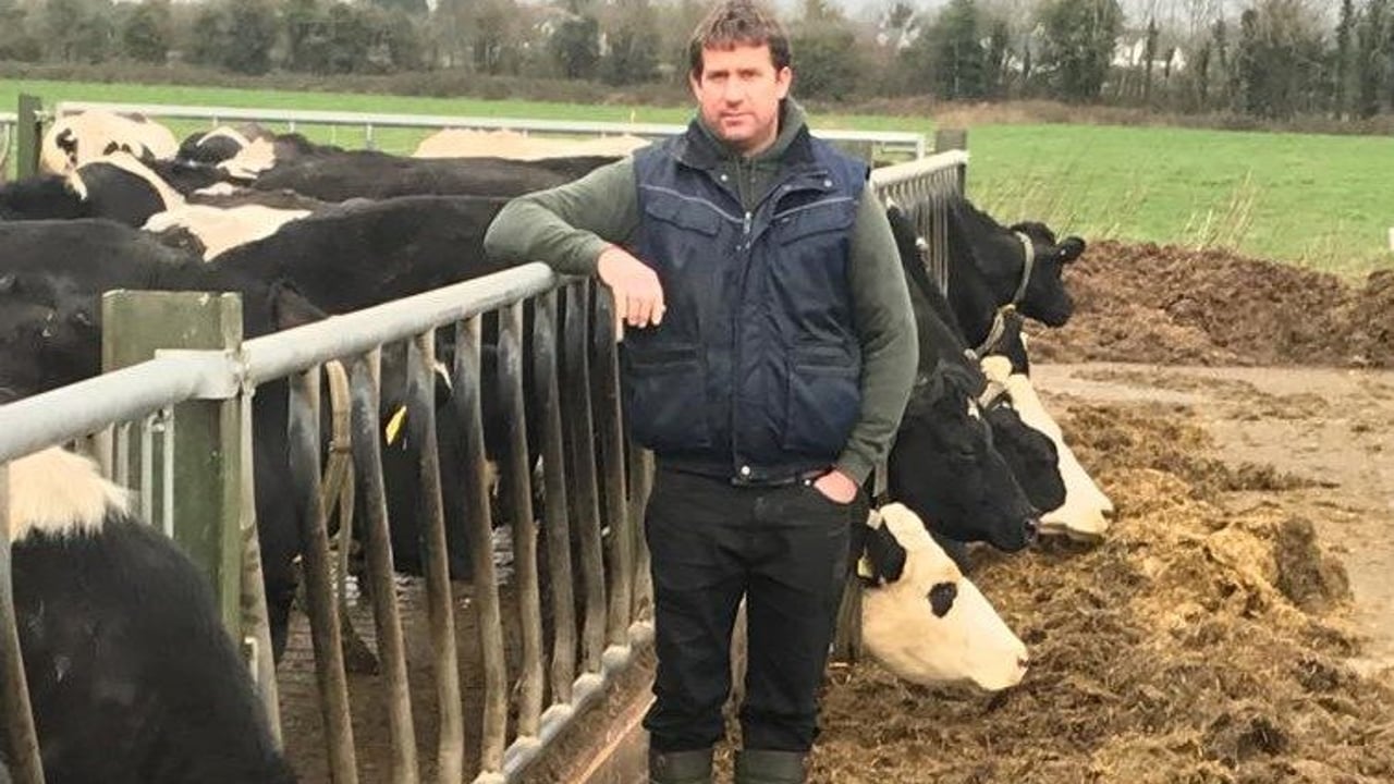 'Winning combination': How this Co. Laois dairy farmer monitors his herd effectively