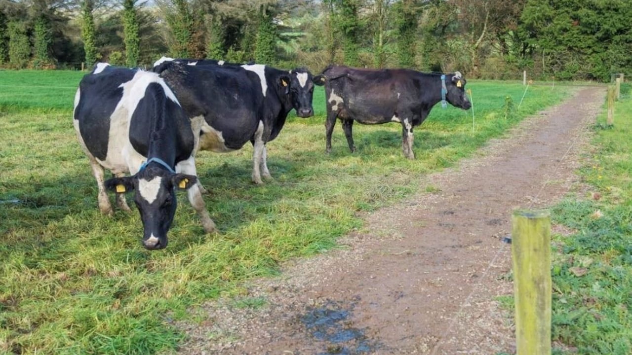 Image source: Fertiliser Association of Ireland