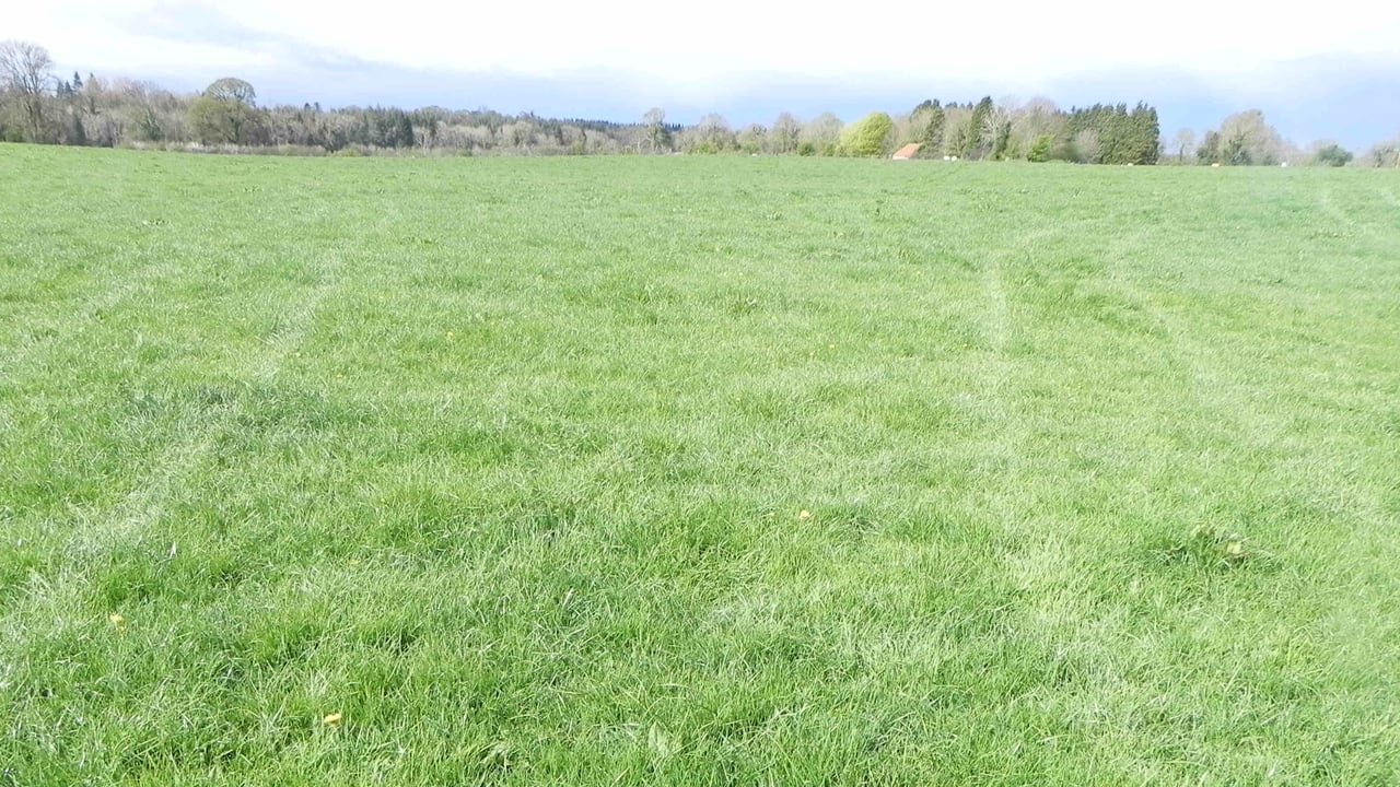Land at Cornamuckla, Ballymahon, Co. Longford