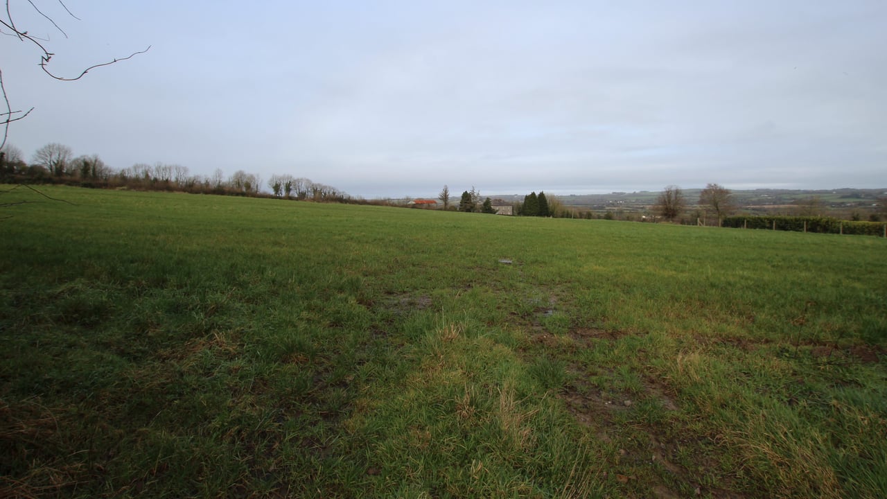 Tipperary land: Successful auction 'bucks the trend of recent sales in the area'