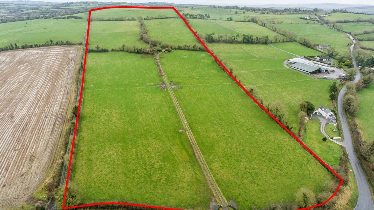 Land at Kilkennybeg, Killenaule, Co. Tipperary. Image source: P. F. Quirke & Co. Ltd