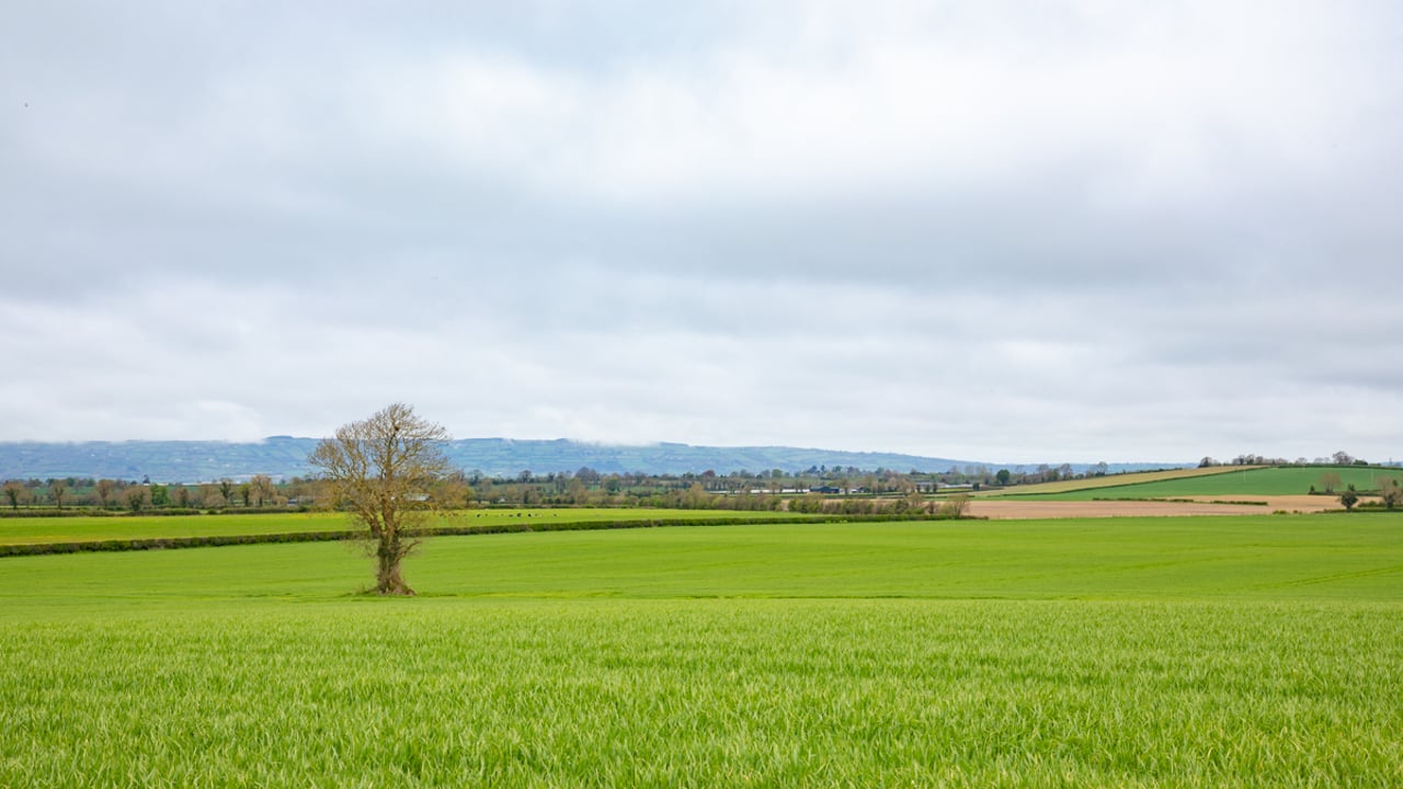 Land accounts for 21% of inheritances or gifts