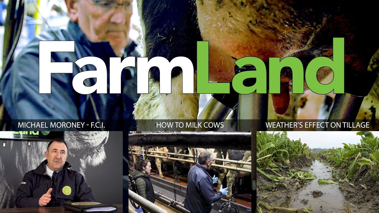 FarmLand 27th February 2020