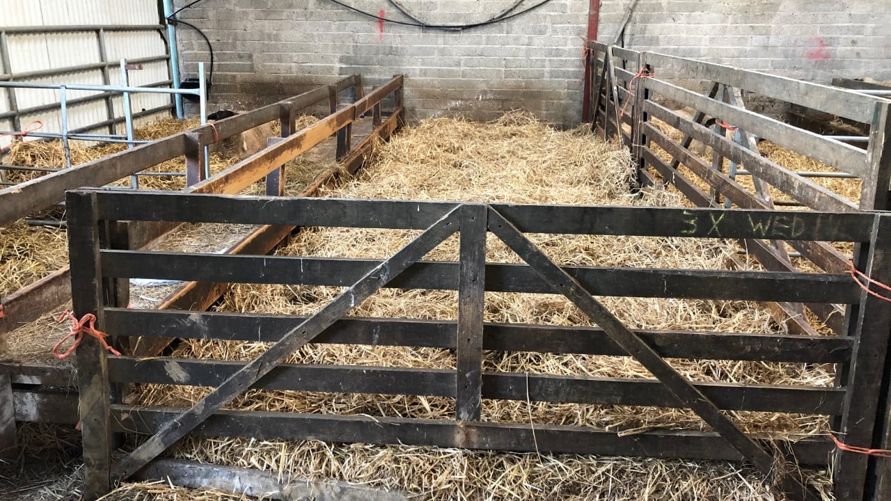 Have you calculated your floor and feed space for you ewes this lambing season?