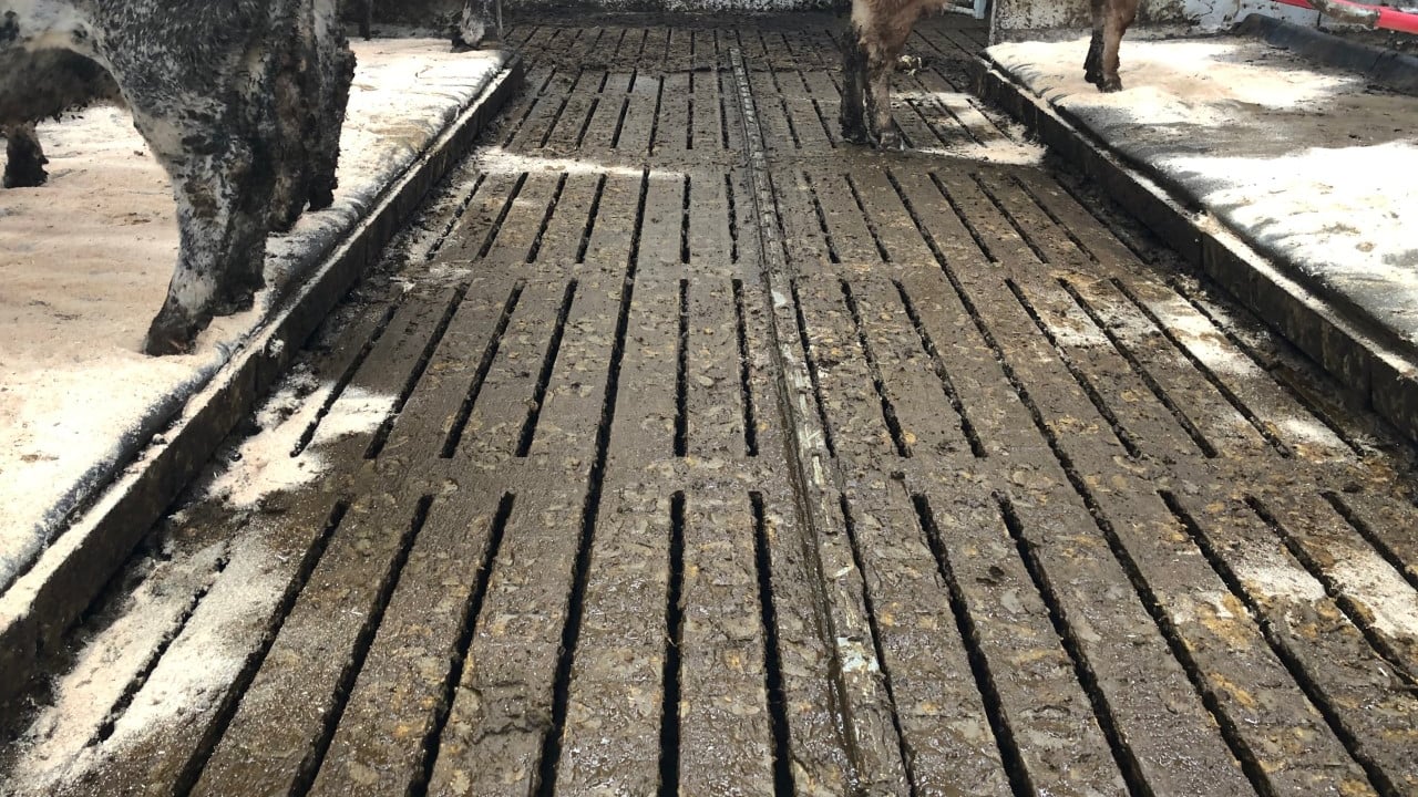 HSA issues safety alert following fatal accident on a farm involving slats