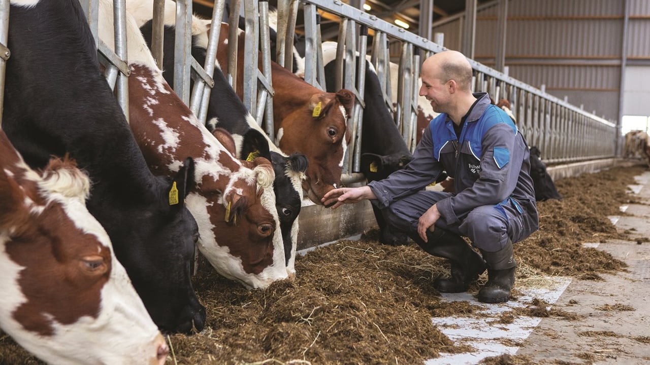 Parlours that work for your farm, whatever your size or ambitions