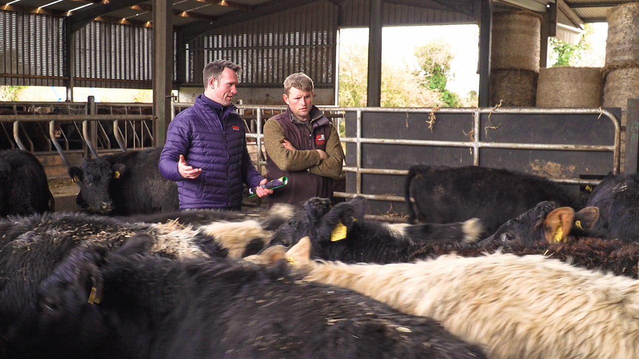 Twenty20 Beef Club programme manager Ross Brady with suckler and beef farmer Harry Lalor