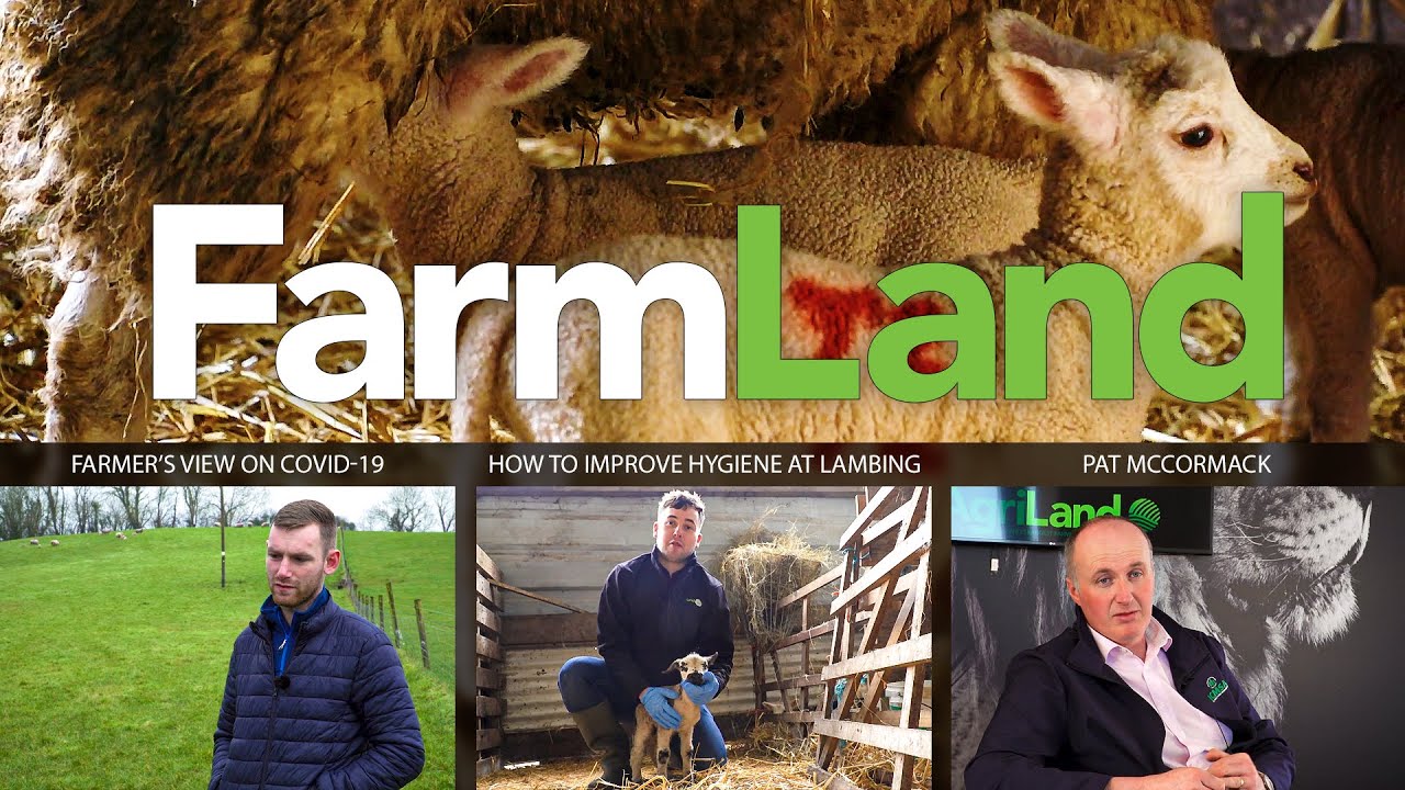 FarmLand 26th March 2020