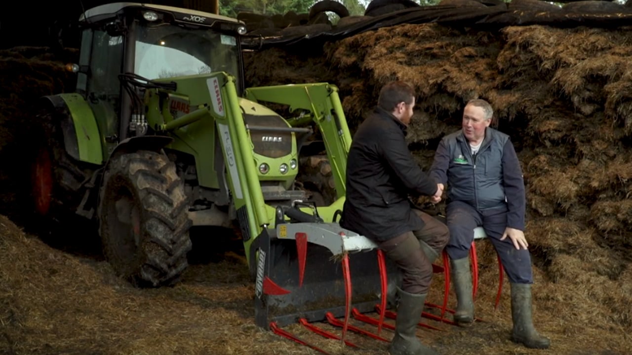 'George goes dairy farming': Attention turns to breeding in Co. Meath and Co. Wexford