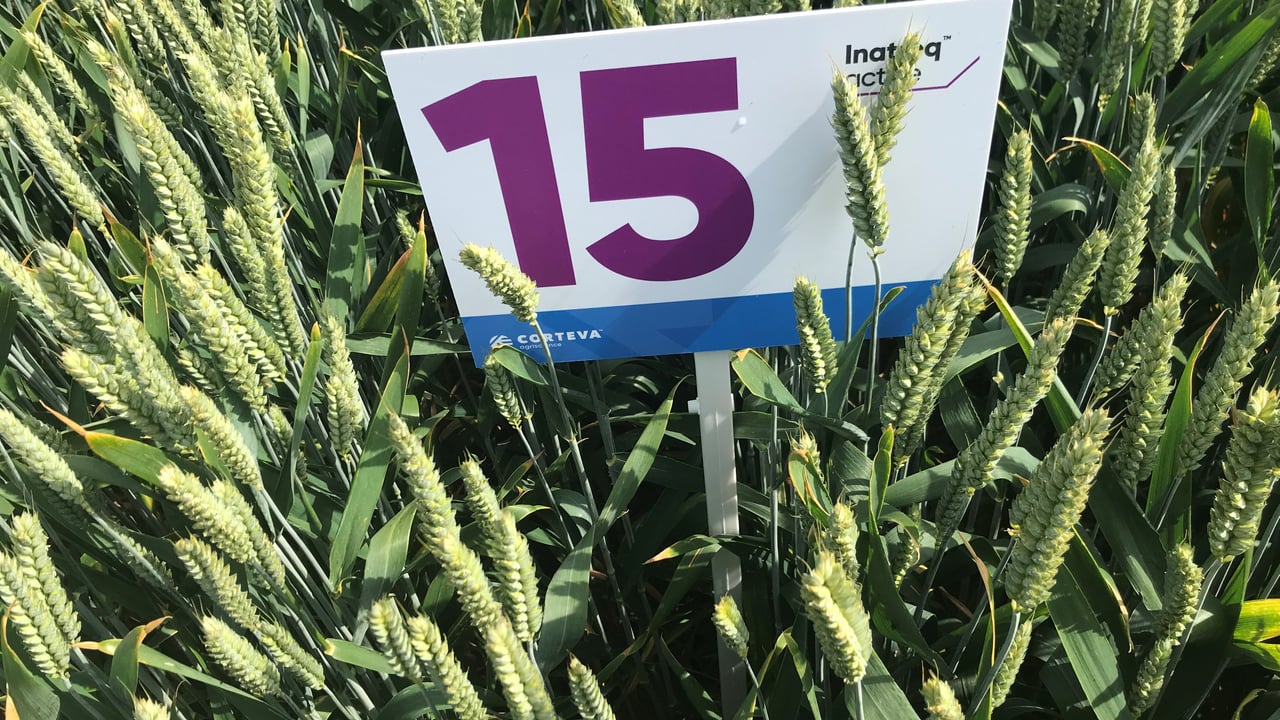 New fungicide registered and will be ready for use in 2021