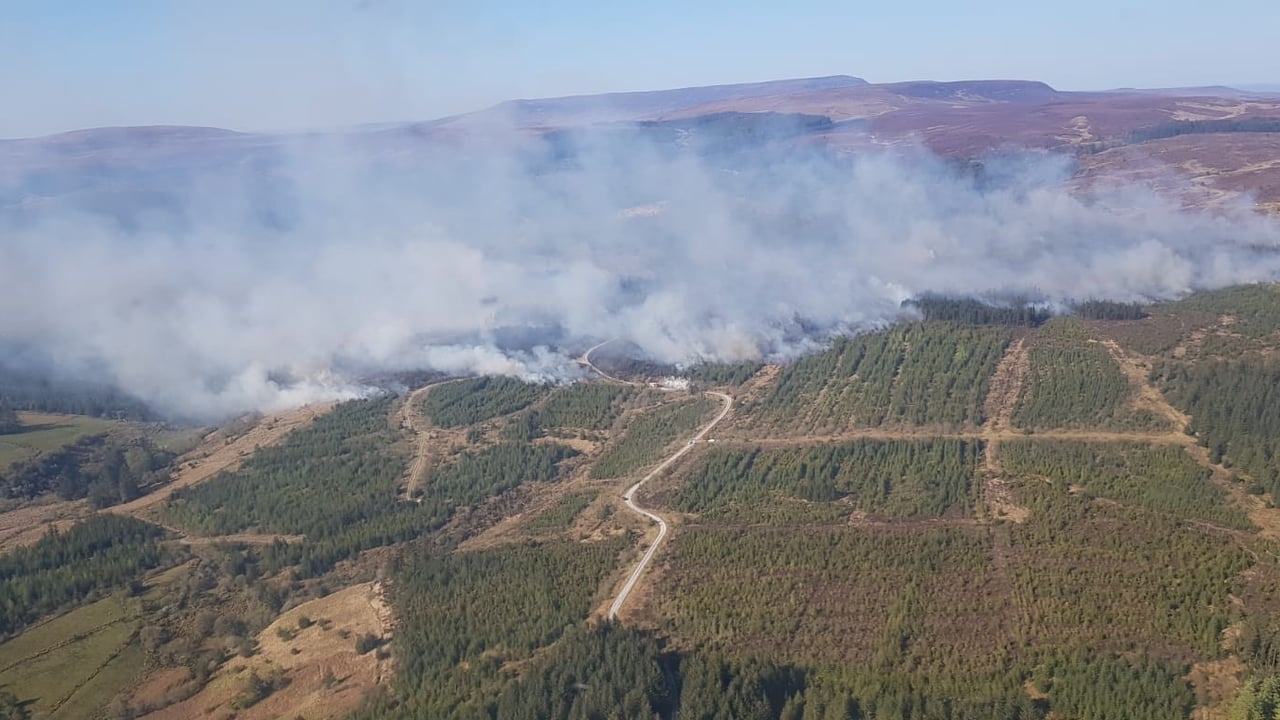 Image source: Chris Shield, Coillte