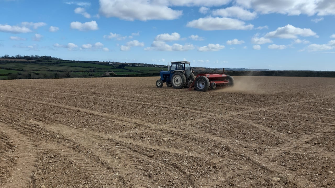 Colette Byrne sent in this shot for Arable April