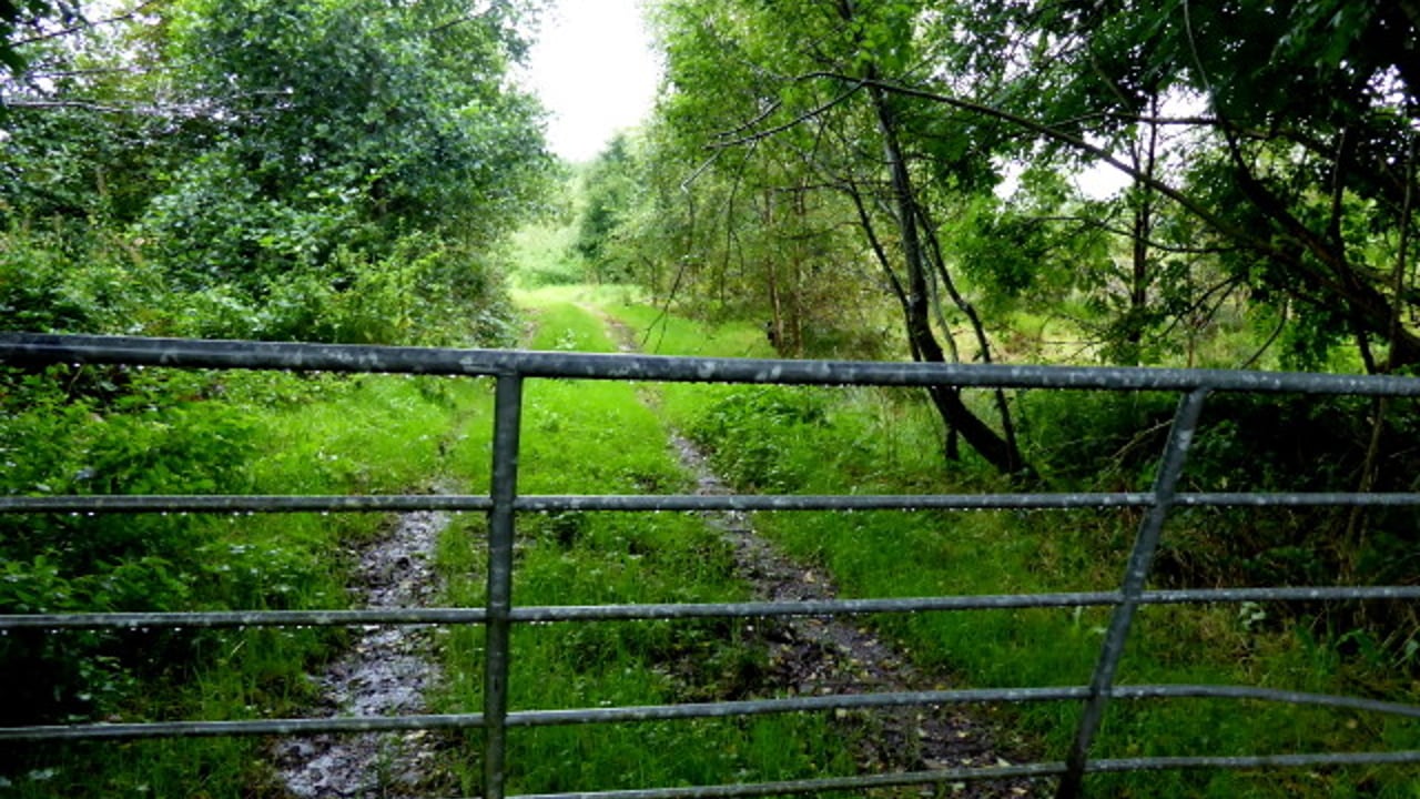 Image source: Geograph (www.geograph.ie)
