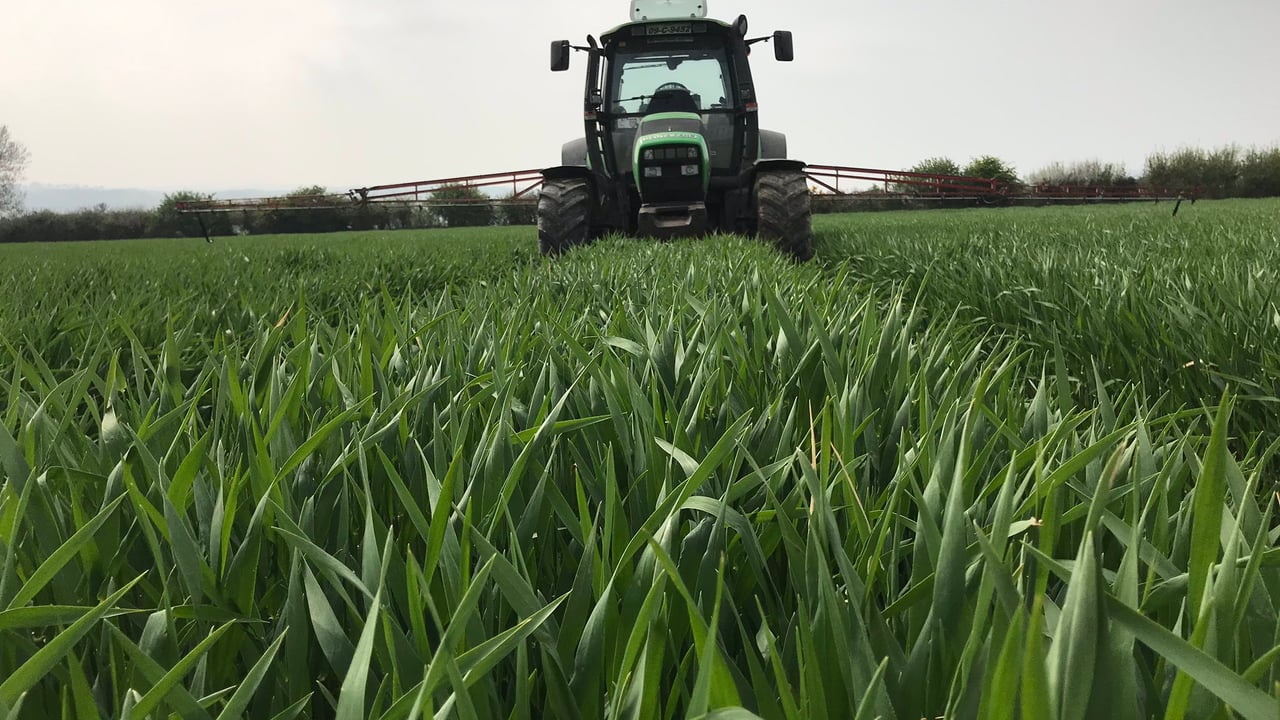 Padraig sprayed a T2 fungicide and growth regulator on the hybrid winter barley last week. Image source: Padraig Connery