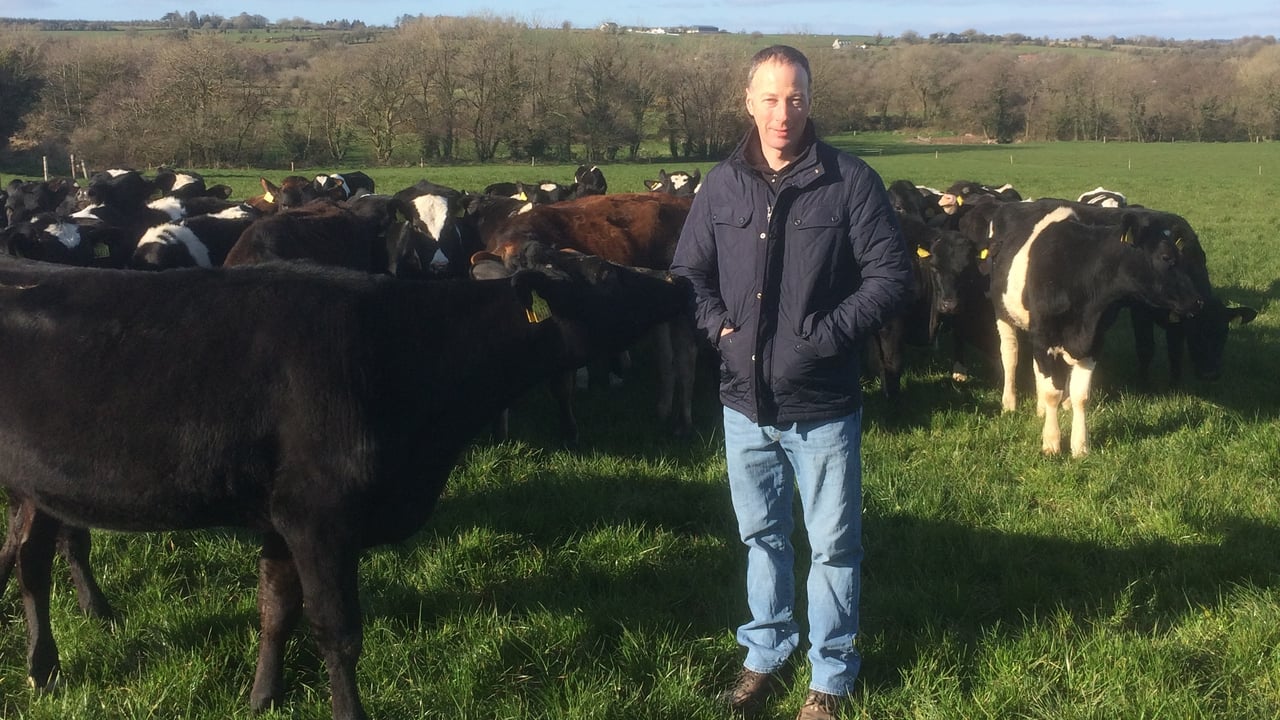 Veterinary practitioner and contract heifer rearer James Finn with his heifers ready for AI in Co. Cork