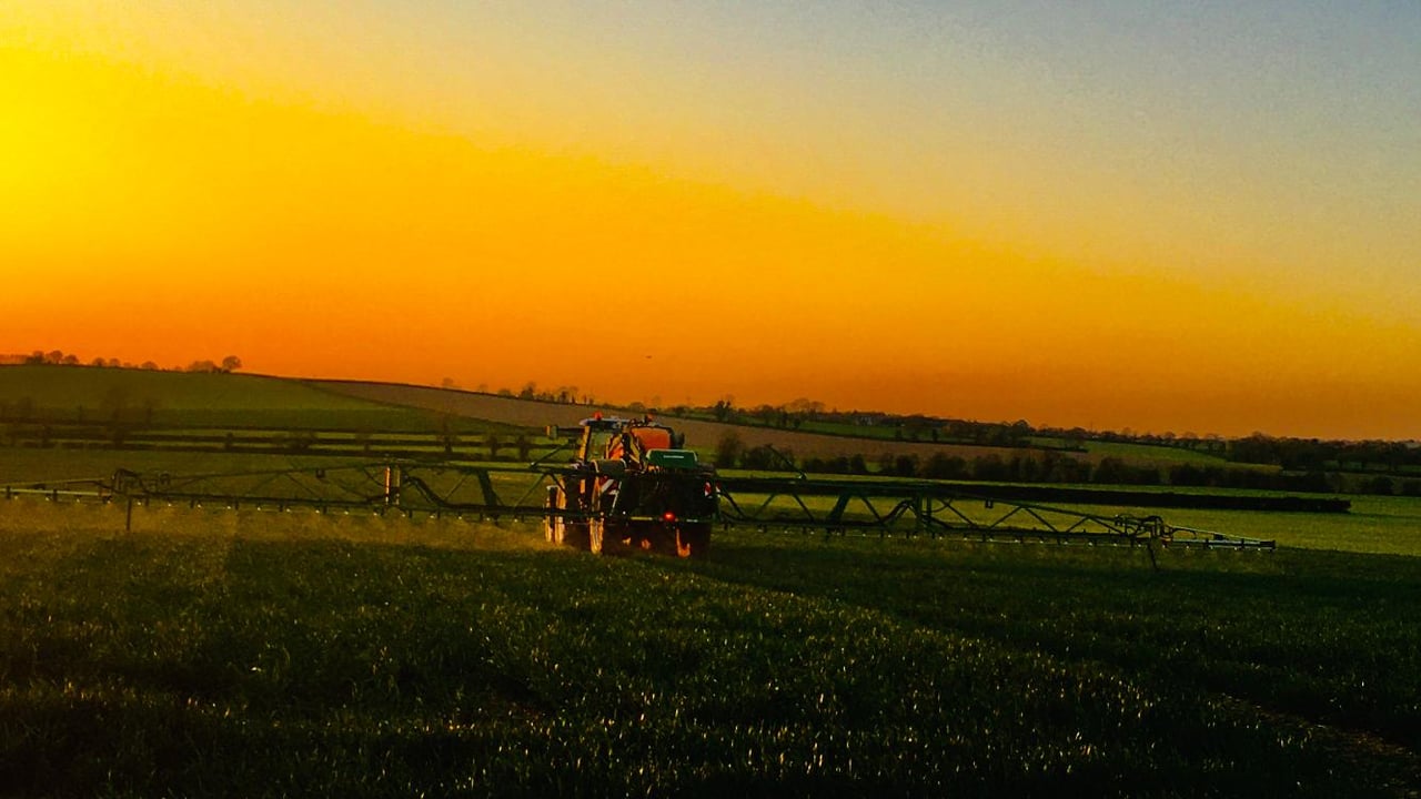 Sell grain little and often to mitigate risk