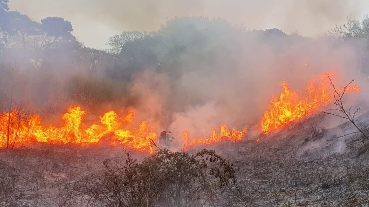 Fire risk notice issued due to dry conditions
