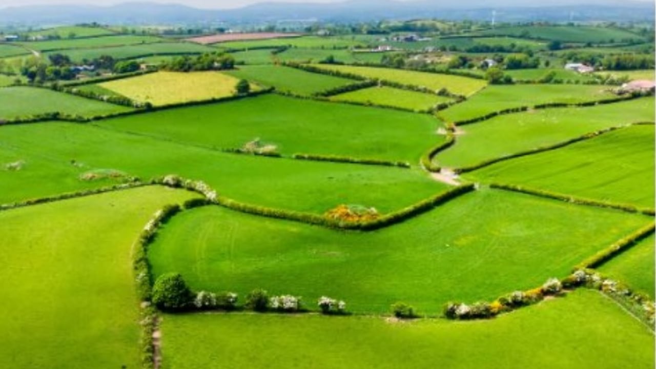 Image source: Department of Agriculture Twitter