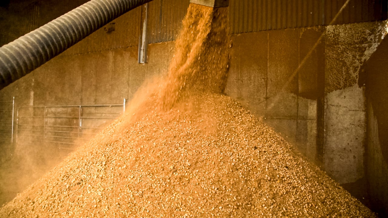 Alltech: Global feed production steady in 2022