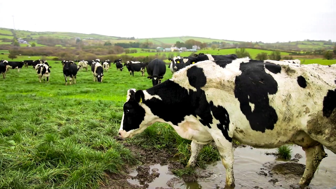 Grass growth: Ground conditions begin to deteriorate