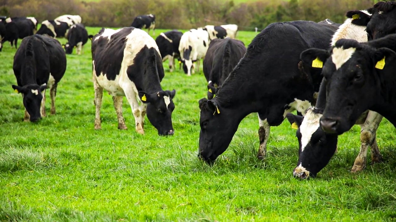 Hope that agri emissions target could be reached this week