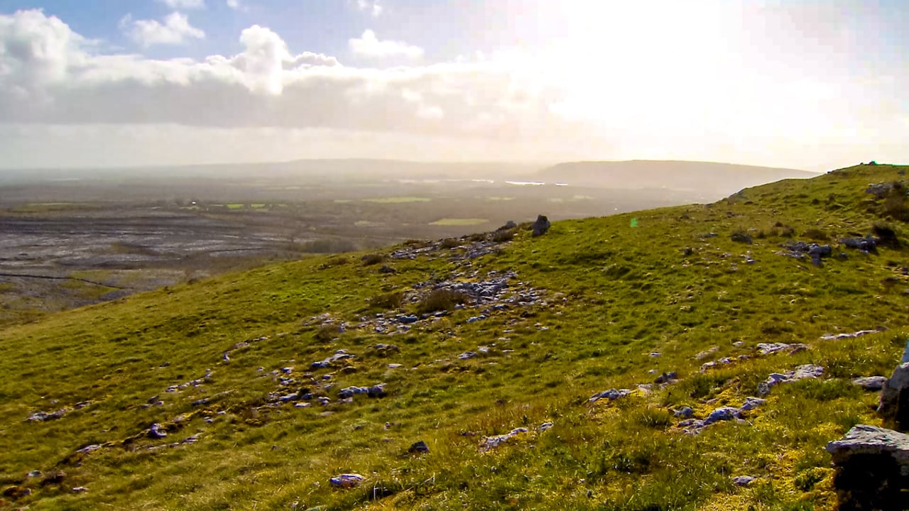 Trail through Ireland’s semi-natural grasslands launched