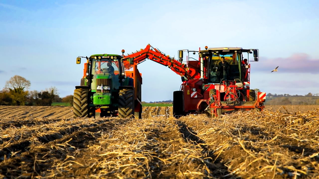 Major UK potato exhibition  planned for early September