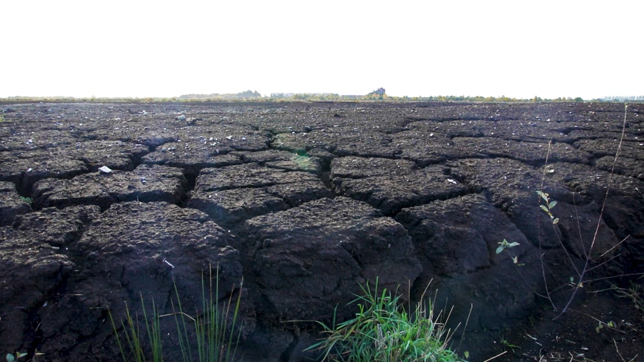 €75,000 for peatland restoration at Co. Laois bog