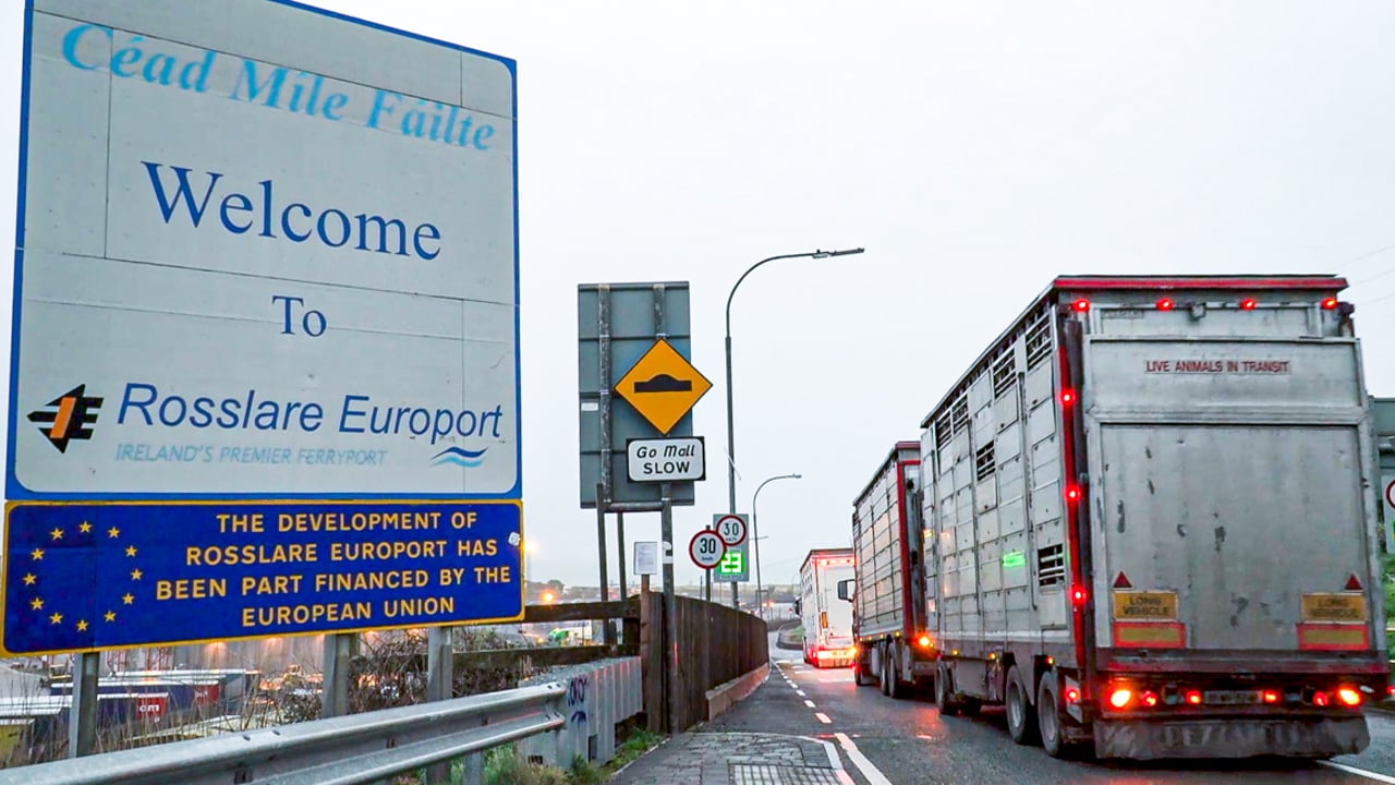 Five EU countries seek tighter animal transport legislation
