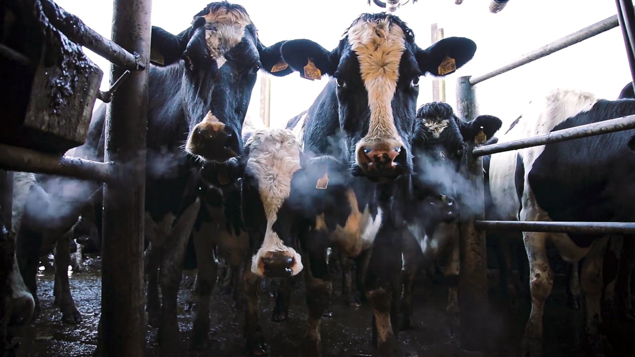 Have you completed your herd health plan yet?
