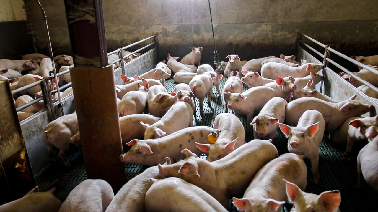 Farmers advised to assess on-farm energy efficiency