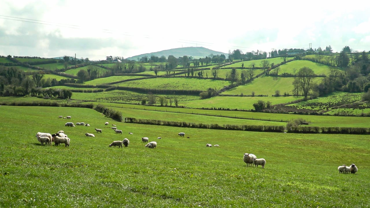 Emissions: INHFA calls for constructive engagement with farmers