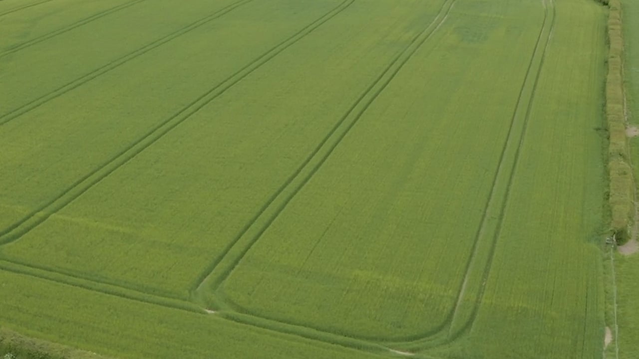 Controls for Protein Aid Scheme to reduce on-farm inspections