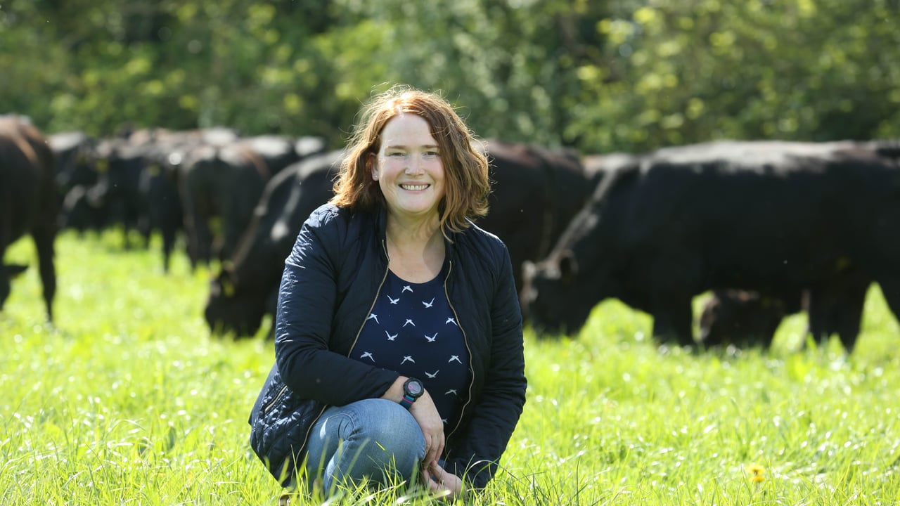 Certified Irish Angus launches new campaign to better connect with consumers