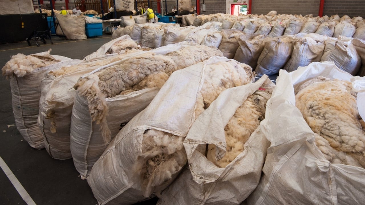 NI sheep farmers urged to 'use it or lose it' with wool board