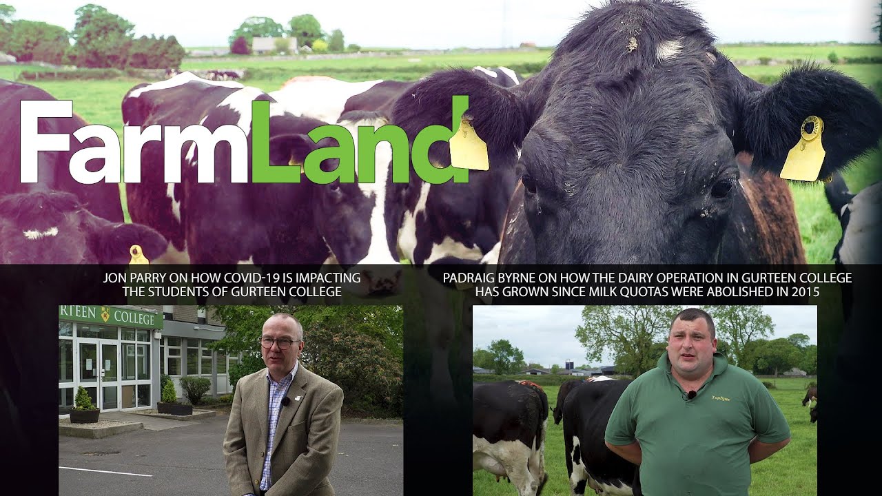 FarmLand 21st May 2020