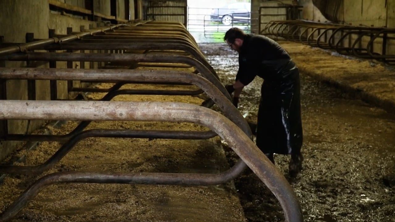 George Goes Dairy Farming: Kevin O'Hanlon - Co Wicklow