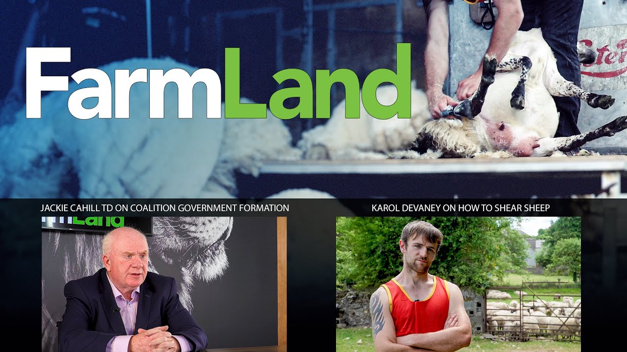 FarmLand 18th June 2020