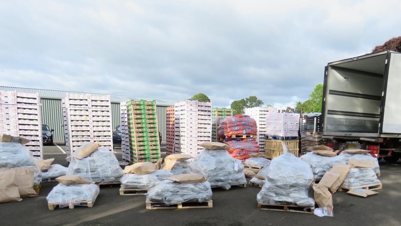 NI's biggest drug seizure found hidden behind veg in refrigerated lorry