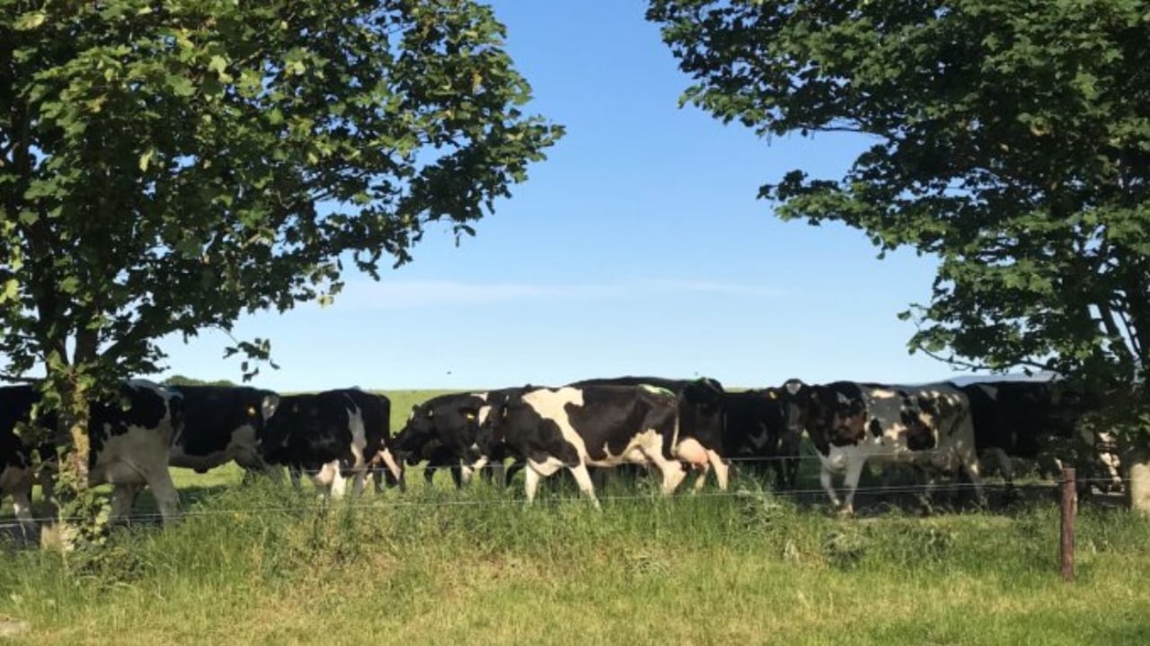 Image source: Glanbia