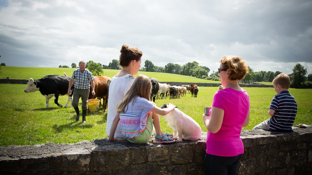 Farmhouse B&B providers work to instill confidence