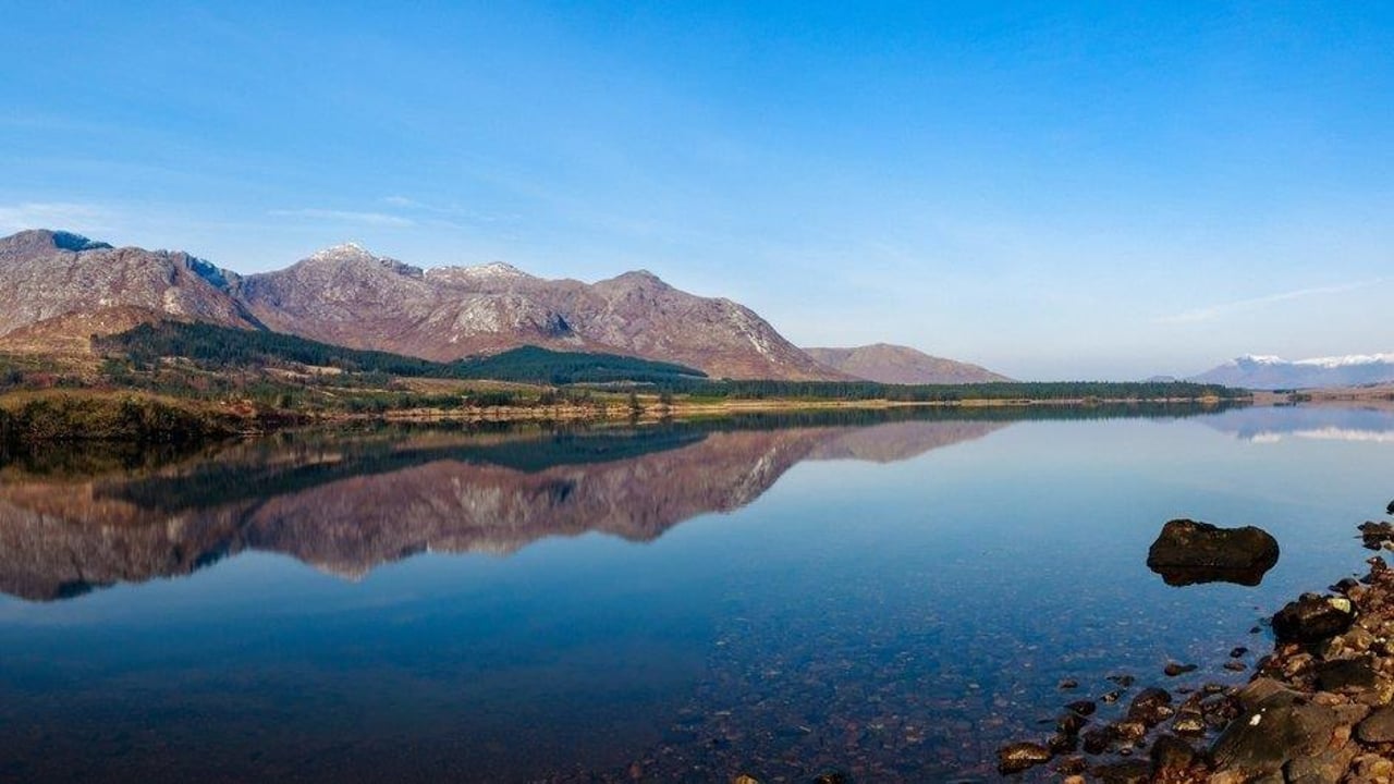 'The right tree in the right place' - Coillte welcomes funding for bog rewetting