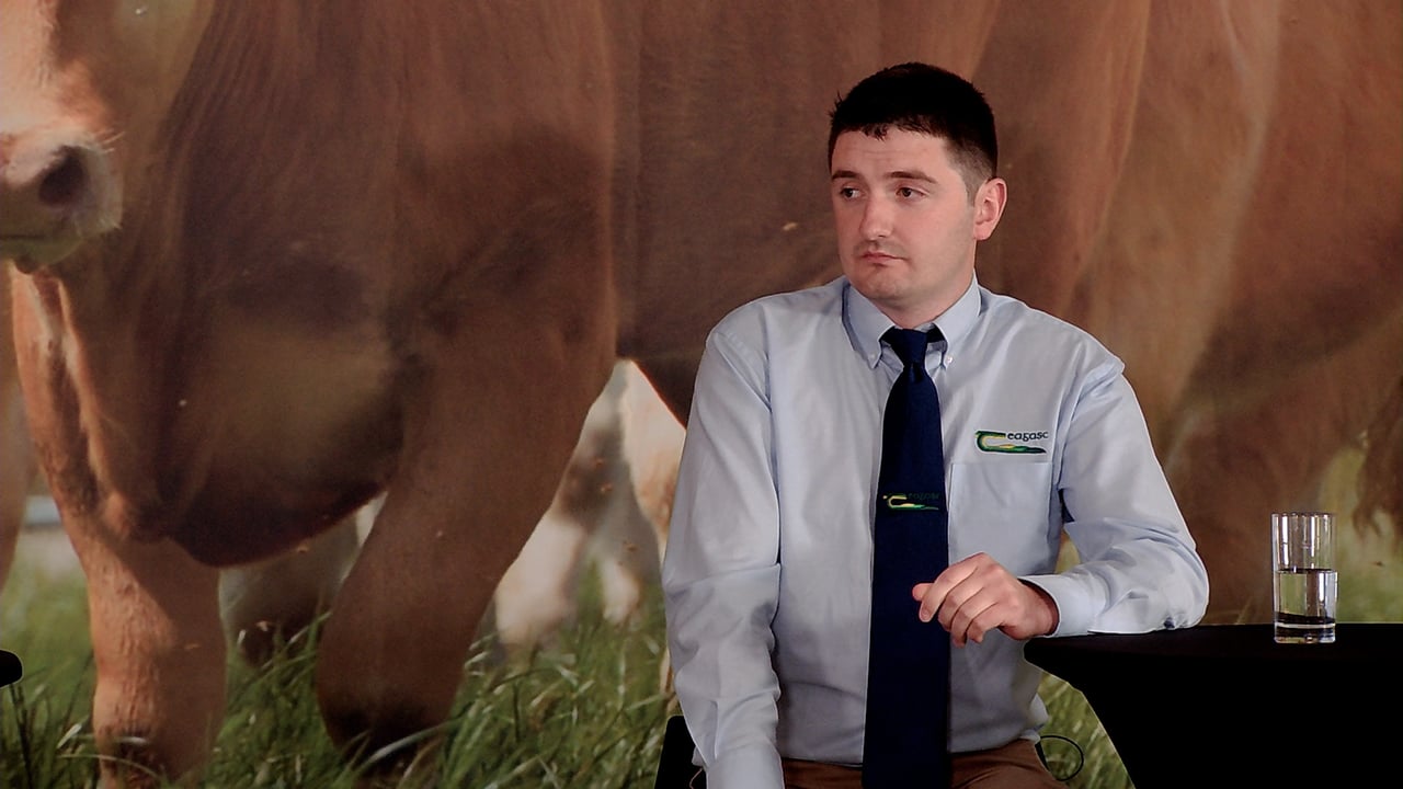 Teagasc: Virtual Beef Week: Importance of System and Genetics in Dairy Calf to Beef Systems